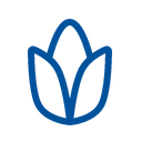 Seed