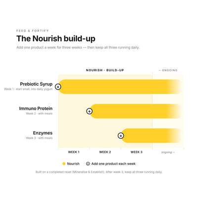 Feed & Fortify — the Nourish trio: Prebiotic, Immuno Protein and Enzymes