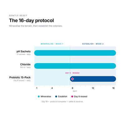 How the Gentle Reset protocol works — products arranged as a 16-day Mineralise-to-Establish sequence
